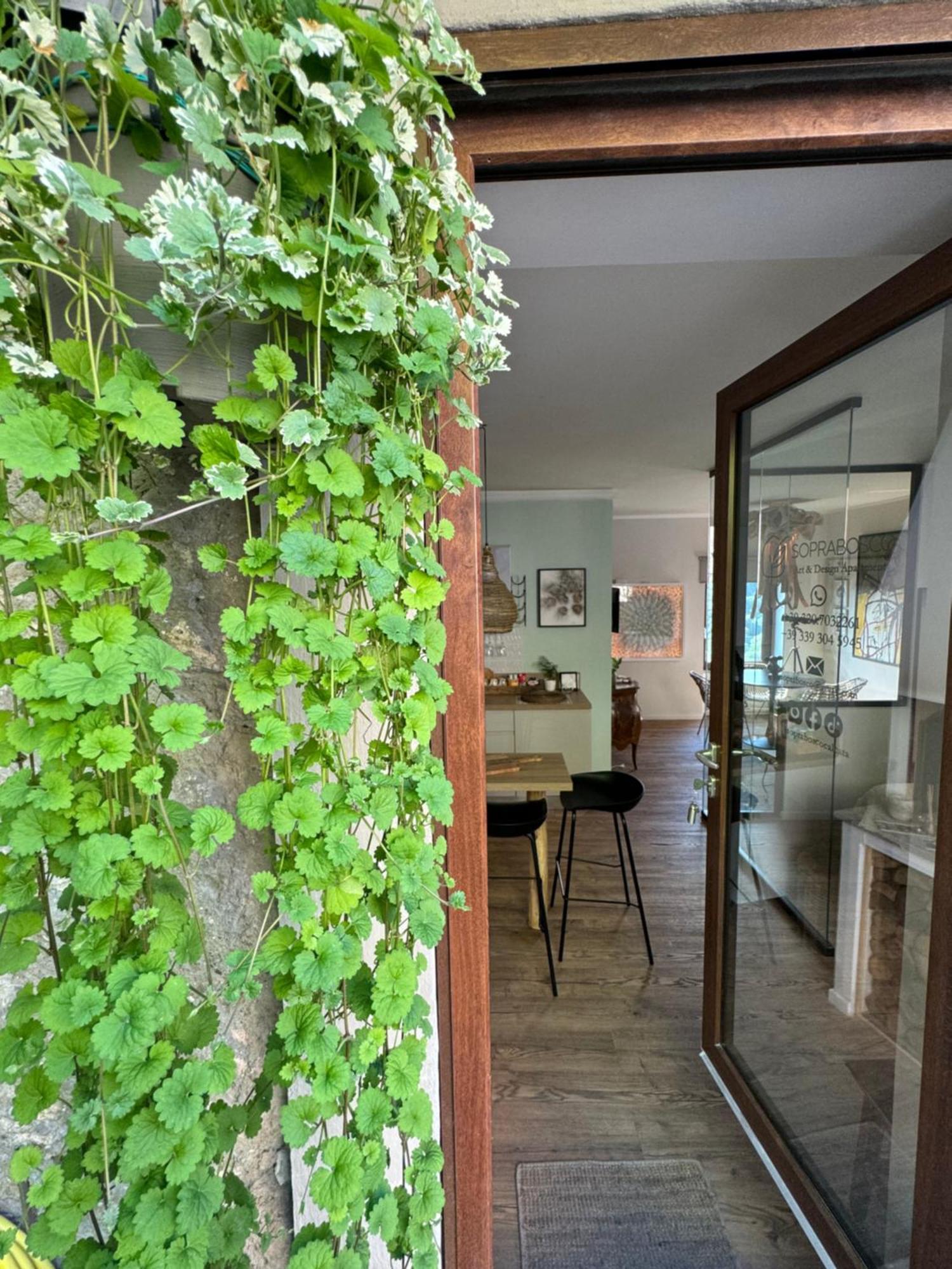 Soprabosco Calcata Art & Design Apartment Exterior photo